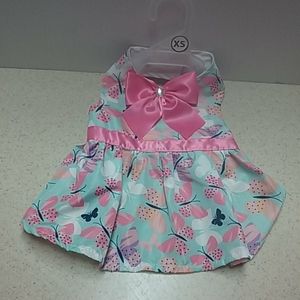 Little female dog dress